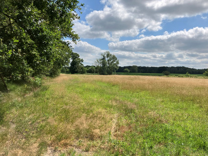 Brugseheide - Valkenswaard