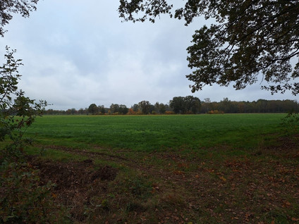 Bruggerhuizen - Leende