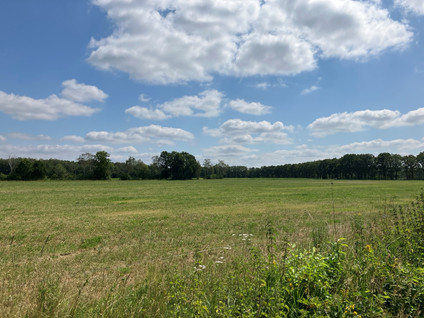 Bruggerhuizen - Leende