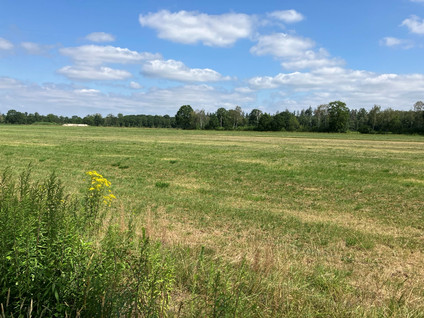 Bruggerhuizen - Leende