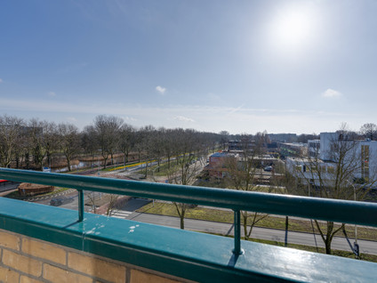 Spaansgroenstraat 46