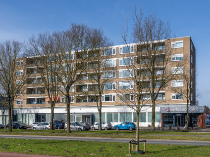 Spaansgroenstraat 46