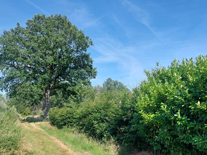schakenakkerweg 