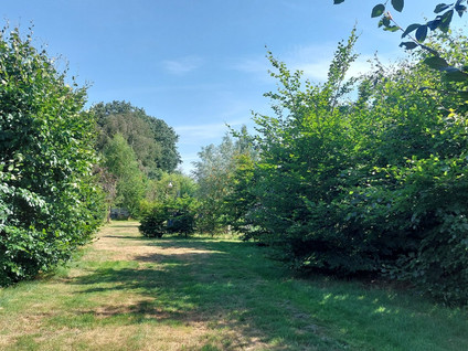 schakenakkerweg 