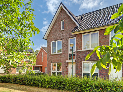 Laar 25