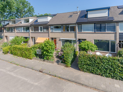 Rietgansstraat 61