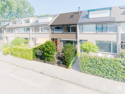Rietgansstraat 61