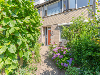 Rietgansstraat 61