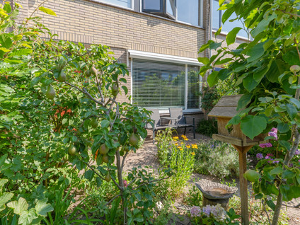 Rietgansstraat 61