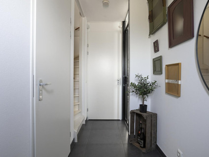 Zaagbok 19