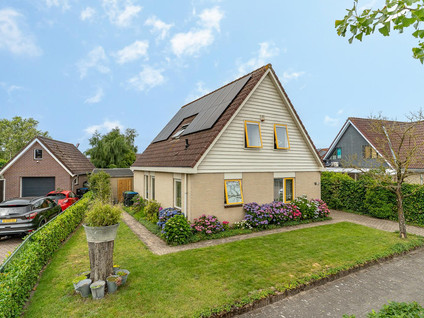 Korenbloem 16