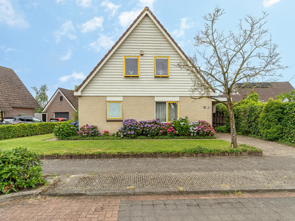 Korenbloem 16