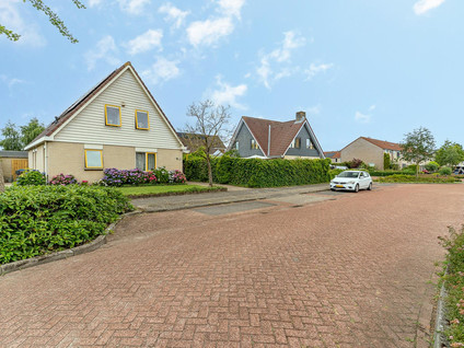Korenbloem 16