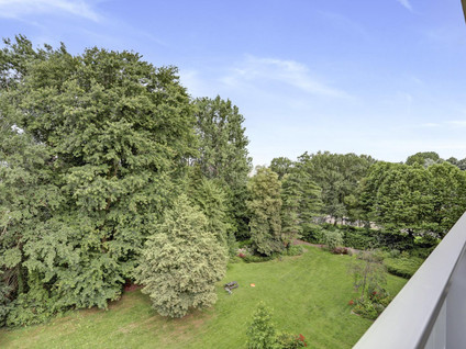 Van der Helmstraat 349