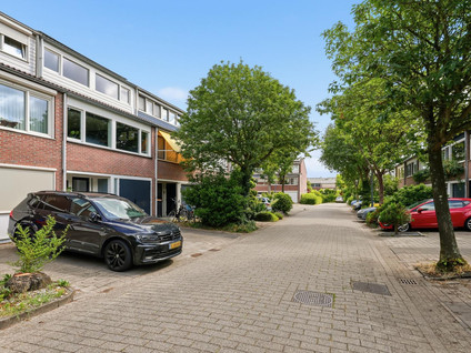 Schepenen 25