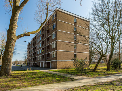 Van Bassenstraat 150