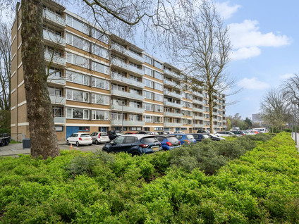 Blondeelstraat 54