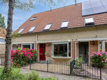 Darja Collinstraat 3