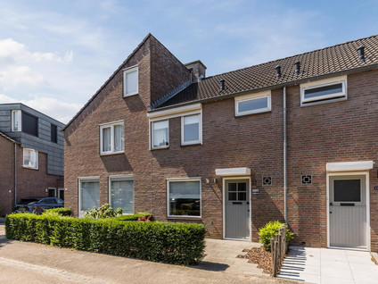 Koekoeksbloem 37