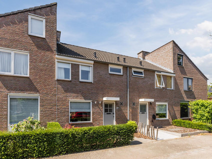 Koekoeksbloem 37