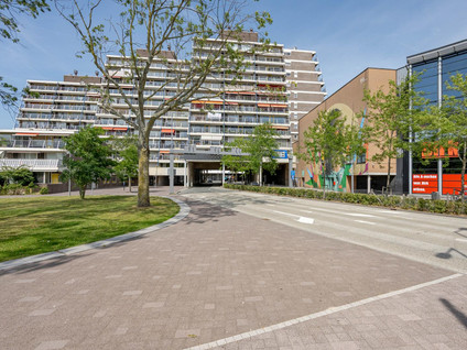 Zuiderterras 63