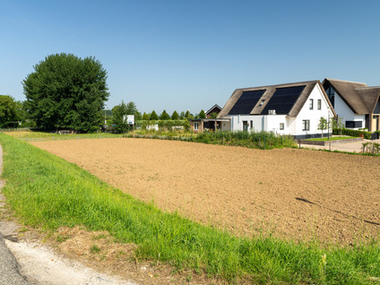 Maasdijk 