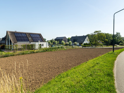 Maasdijk 