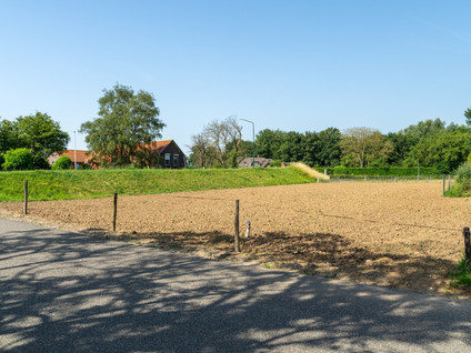 Maasdijk 