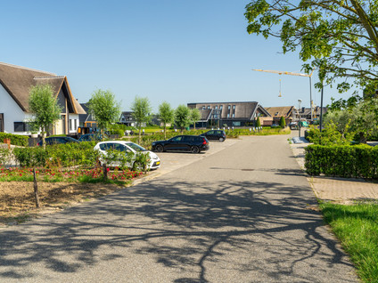 Maasdijk 