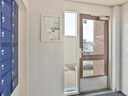 Drievogelstraat 231
