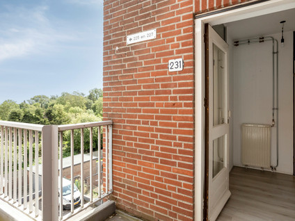 Drievogelstraat 231