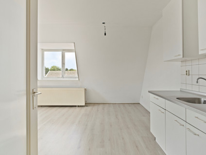 Drievogelstraat 231