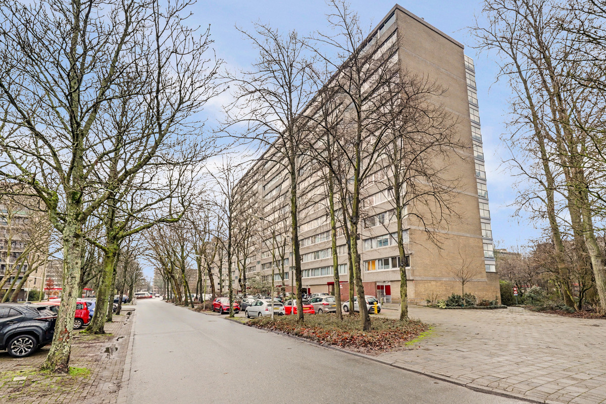 5-oda daire – 117 m²