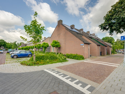 Doornbos 63