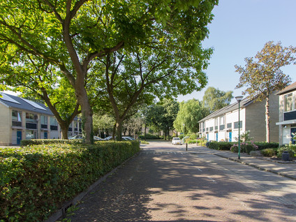 Jeroen Boschstraat 44