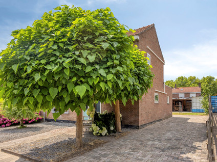 Korte Voor 19