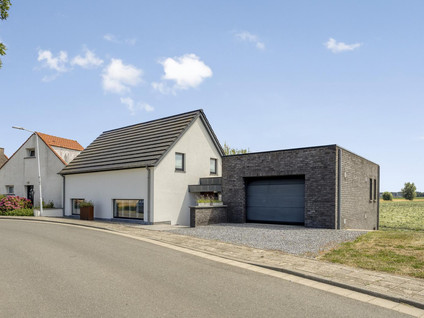 Graauwsedijk 29