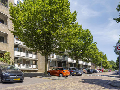 Palmboomstraat 84
