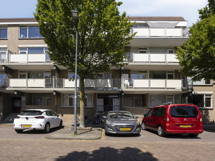 Palmboomstraat 84