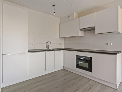 Palmboomstraat 84