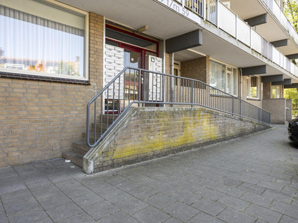 Cypresstraat 31