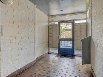 Cypresstraat 31