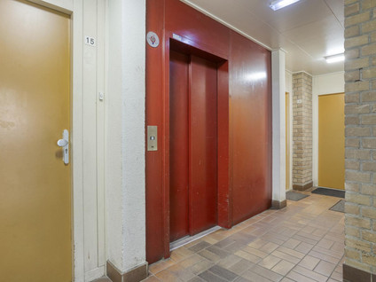 Cypresstraat 31