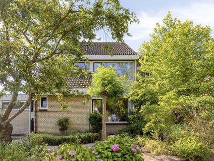 van Heemstralaan 38