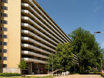 Dunantstraat 941