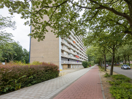 Holysingel 210