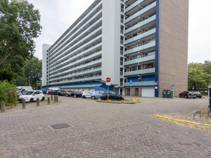 Holysingel 210