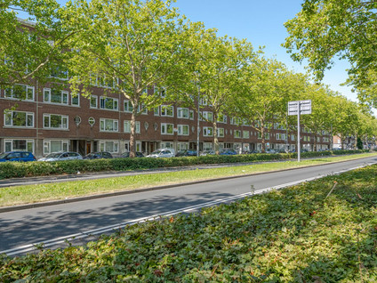 Pleinweg 96B