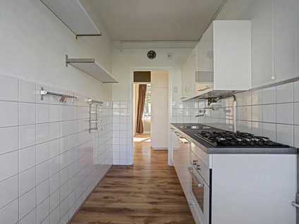 Vasaristraat 54