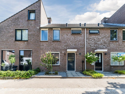 Koekoeksbloem 16